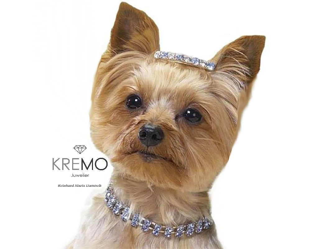 Mehr über den Artikel erfahren Tierschmuck für Hunde und Katzen Anfertigungen